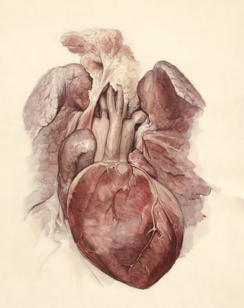 Image 2 811x1024